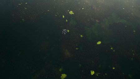 Beautiful picture top view shot from the droneの写真素材