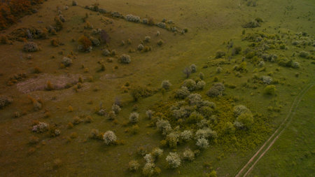 Beautiful picture top view shot from the droneの写真素材