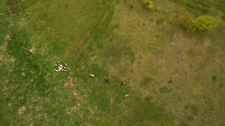 Beautiful field from aboveの写真素材