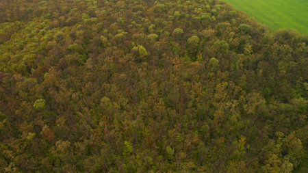 Beautiful picture from above