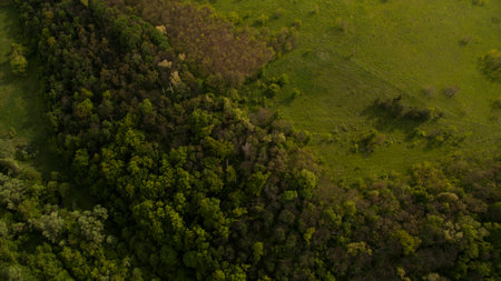 Beautiful picture top view shot from the droneの写真素材