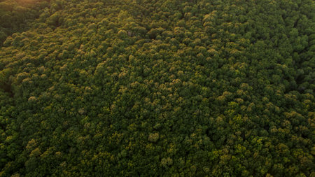 Beautiful scenery shot from the droneの写真素材