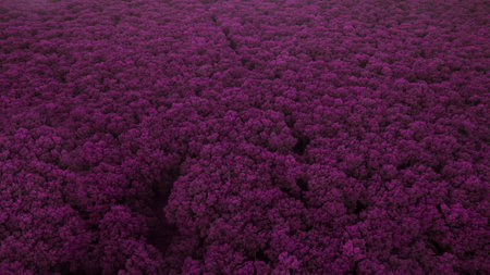 Beautiful scenery shot from the droneの写真素材