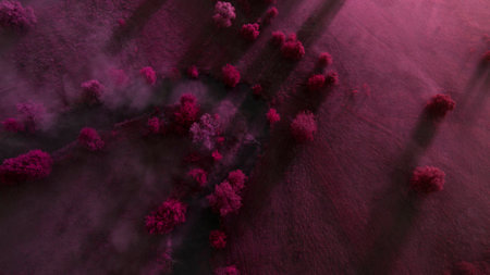 Beautiful scenery shot from the droneの写真素材