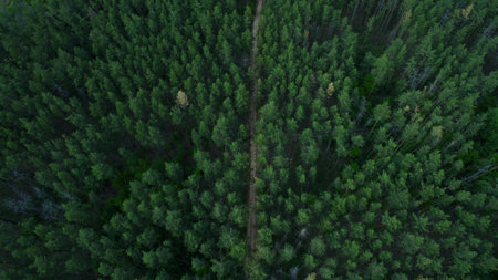 Beautiful scenery shot from the drone