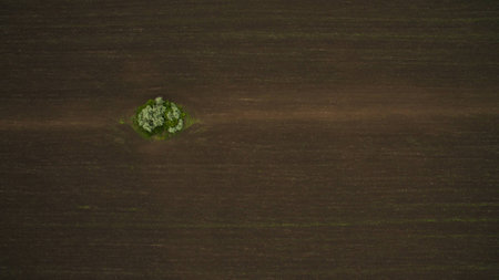 Beautiful scenery shot from the droneの写真素材