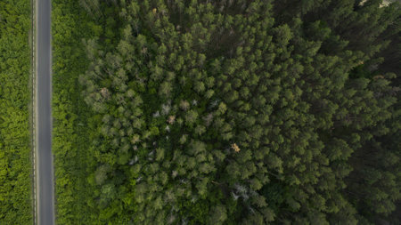 Beautiful scenery shot from the droneの写真素材