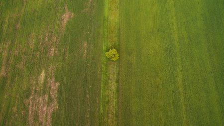 Beautiful scenery shot from the droneの写真素材