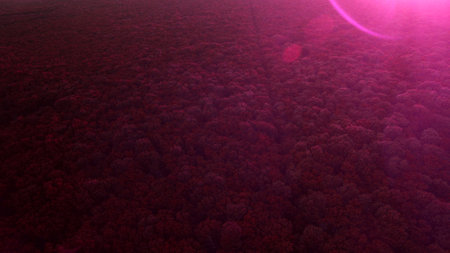 Beautiful scenery shot from the droneの写真素材