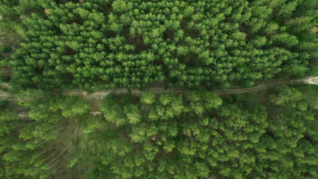 Beautiful scenery shot from the drone