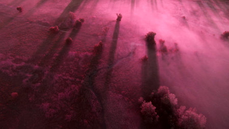 Beautiful scenery shot from the droneの写真素材