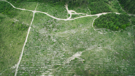 Beautiful scenery shot from the droneの写真素材