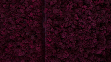 Beautiful scenery shot from the droneの写真素材