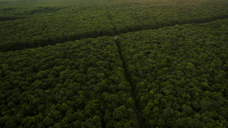 Beautiful scenery shot from the droneの写真素材