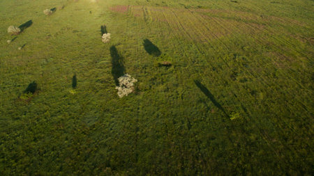 Beautiful scenery shot from the droneの写真素材