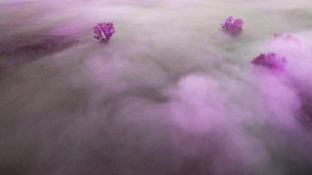 Beautiful scenery shot from the droneの写真素材