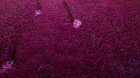 Beautiful field scenery shot from the droneの写真素材