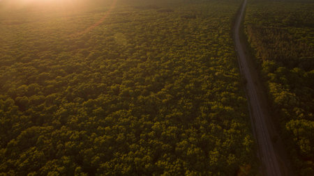 Beautiful scenery shot from the droneの写真素材