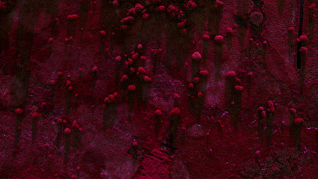 Beautiful scenery shot from the droneの写真素材