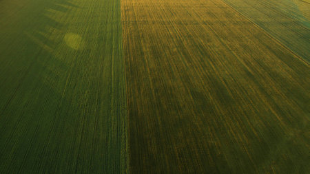 Different fields view from aboveの写真素材