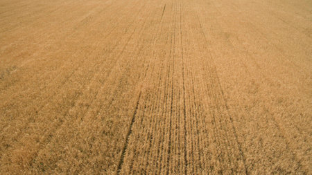 Different fields view from above