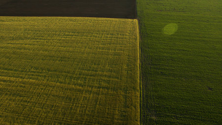 Different fields view from aboveの写真素材