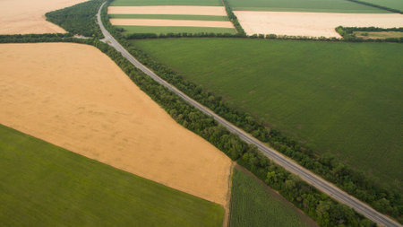 Different fields view from aboveの写真素材
