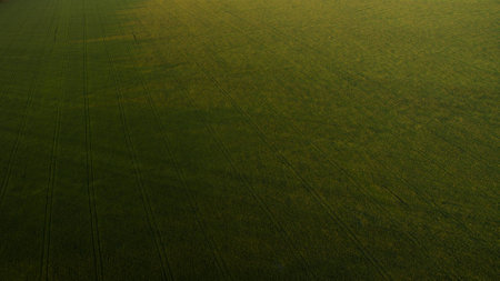 Beautiful landscape of a green field view from aboveの写真素材