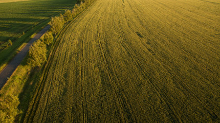 Beautiful field view from aboveの写真素材