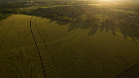 Different fields view from aboveの写真素材
