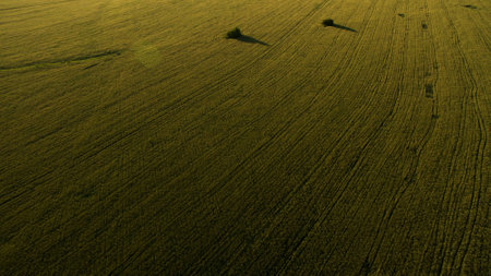 A beautiful sunset landscape shot from a quadrocopterの写真素材