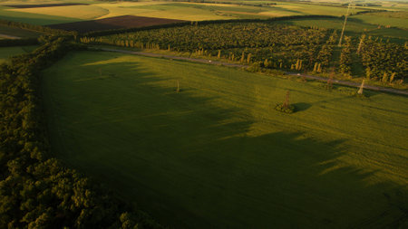 Different fields view from above