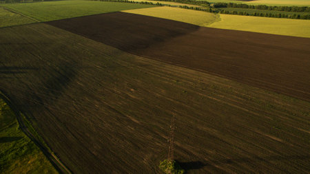 Different fields view from aboveの写真素材