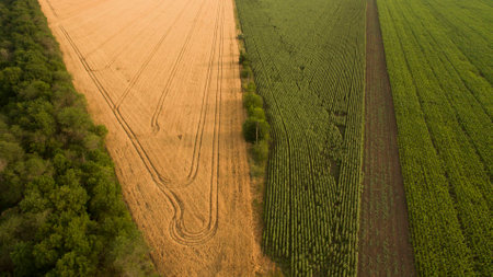 Different fields view from above