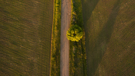 A beautiful sunset landscape shot from a quadrocopterの写真素材