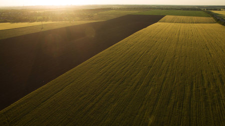 Different fields view from above