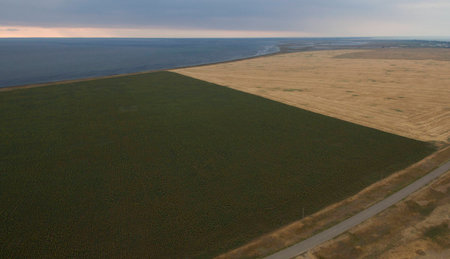 Landscape field view from aboveの写真素材