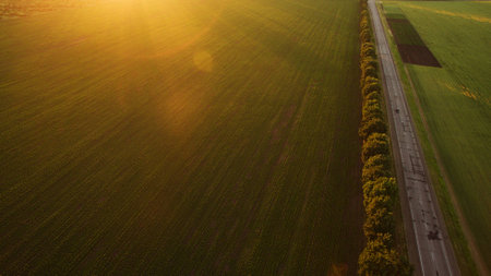 Different fields view from aboveの写真素材