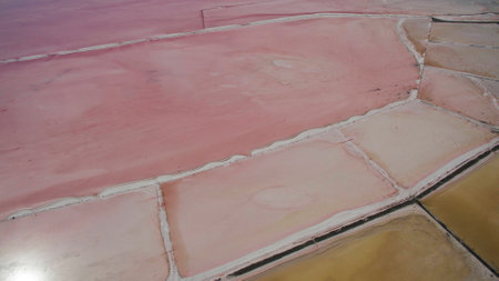 Beautiful salty pink lake view from aboveの写真素材