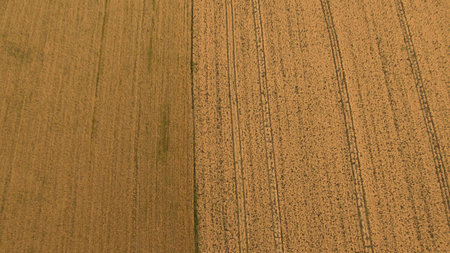 Different fields view from aboveの写真素材