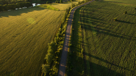 Beautiful field view from aboveの写真素材