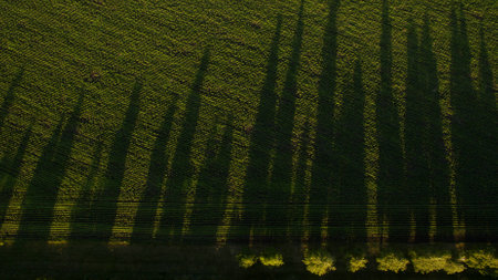 Beautiful field view from aboveの写真素材