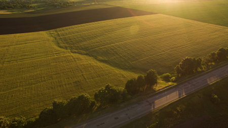 Different fields view from aboveの写真素材