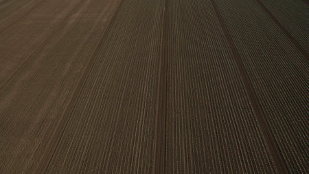 Different fields view from aboveの写真素材