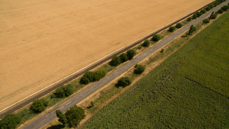 Different fields view from aboveの写真素材