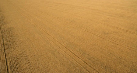 Different fields view from above