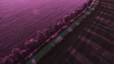 Beautiful field view from aboveの写真素材