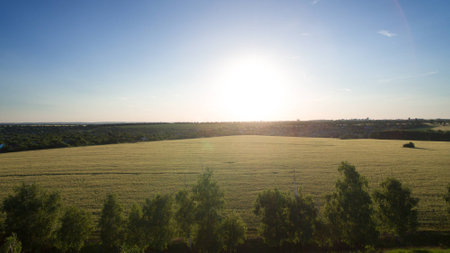 Beautiful field view from above