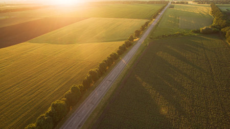 Different fields view from above