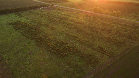 Different fields view from aboveの写真素材